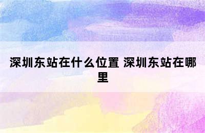 深圳东站在什么位置 深圳东站在哪里